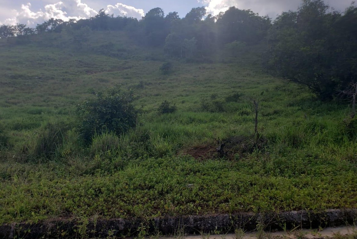 Fourth image of Lot 11 b Brokenhurst, Manchester in Broken Hurst, Manchester, Jamaica - property is For Sale