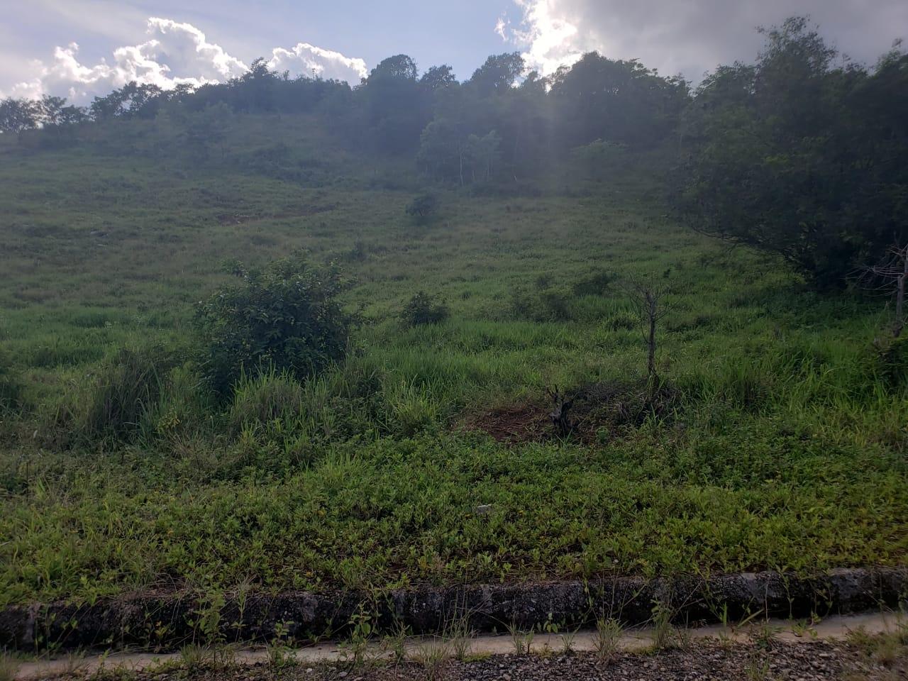Fourth image of Lot 11 b Brokenhurst, Manchester in Broken Hurst, Manchester, Jamaica - property is For Sale