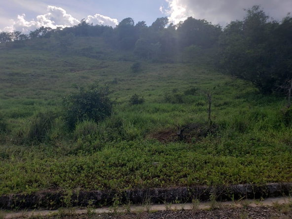 Fourth image of Lot 11 b Brokenhurst, Manchester in Broken Hurst, Manchester, Jamaica - property is For Sale