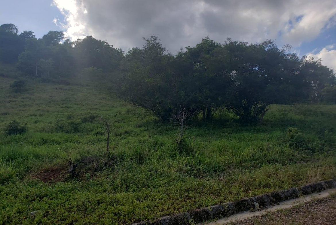 Fifth image of Lot 11 b Brokenhurst, Manchester in Broken Hurst, Manchester, Jamaica - property is For Sale