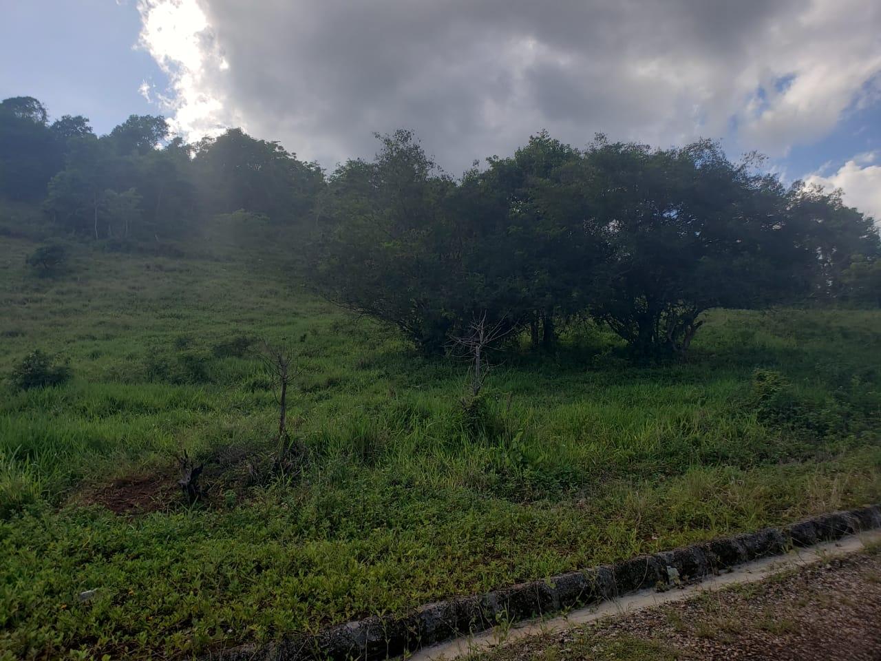 Fifth image of Lot 11 b Brokenhurst, Manchester in Broken Hurst, Manchester, Jamaica - property is For Sale