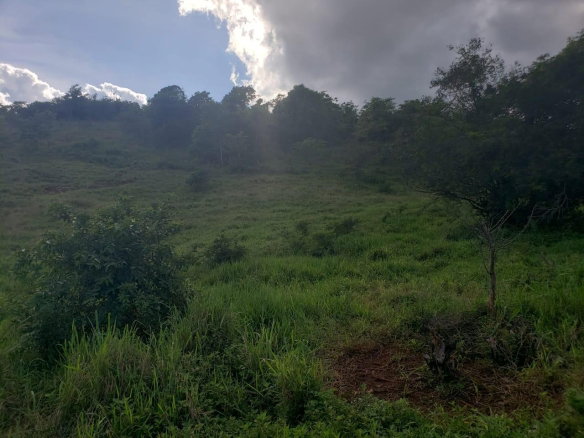 First image of Lot 11 b Brokenhurst, Manchester in Broken Hurst, Manchester, Jamaica - property is For Sale