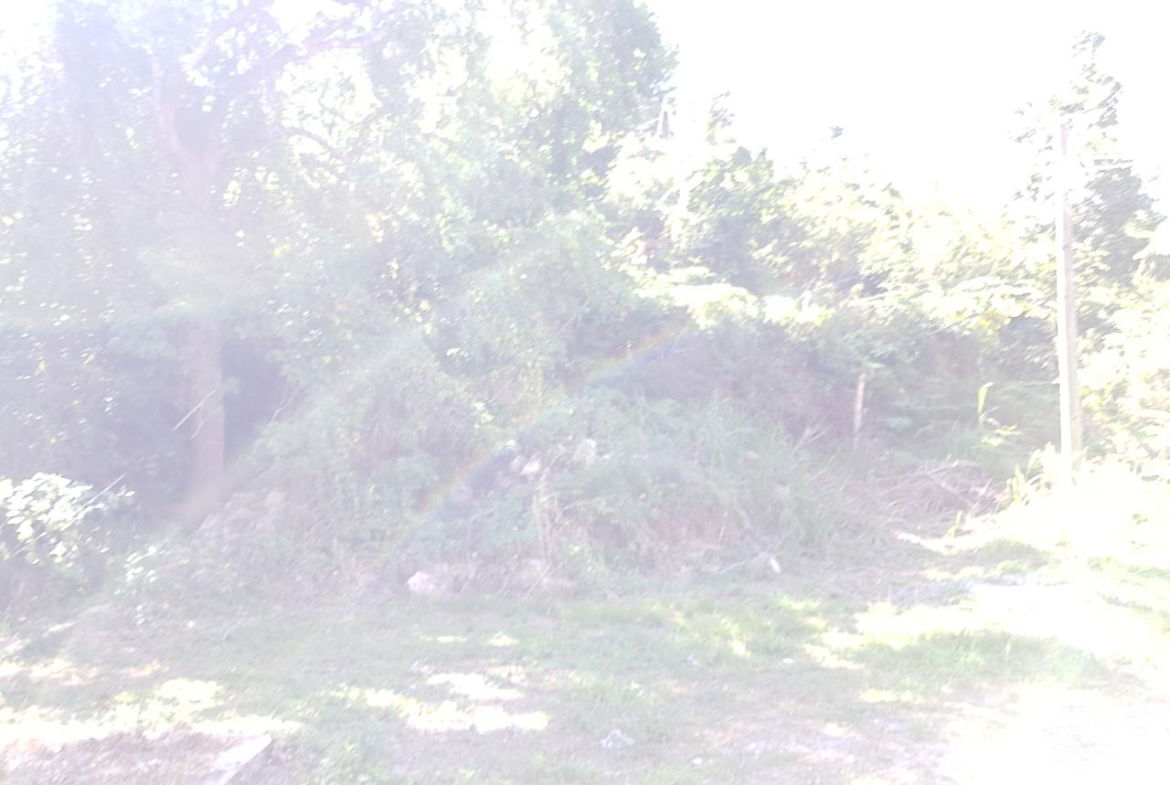 Fourth image of Lot-24 Coopers Hill Way in Coopers Hill, St. Andrew, Jamaica - property is For Sale