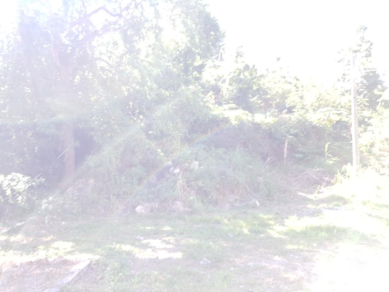 Fourth image of Lot-24 Coopers Hill Way in Coopers Hill, St. Andrew, Jamaica - property is For Sale