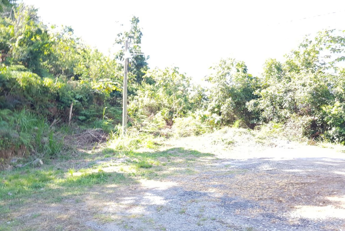 Fifth image of Lot-24 Coopers Hill Way in Coopers Hill, St. Andrew, Jamaica - property is For Sale