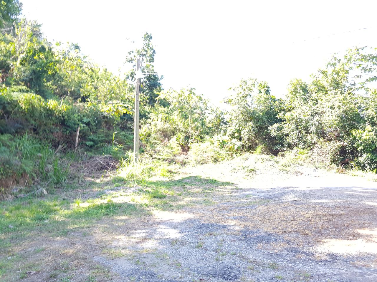 Fifth image of Lot-24 Coopers Hill Way in Coopers Hill, St. Andrew, Jamaica - property is For Sale