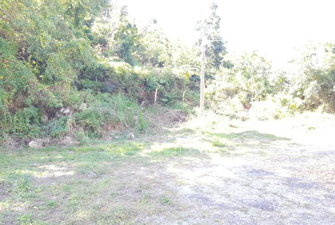 Sixth image of Lot-24 Coopers Hill Way in Coopers Hill, St. Andrew, Jamaica - property is For Sale