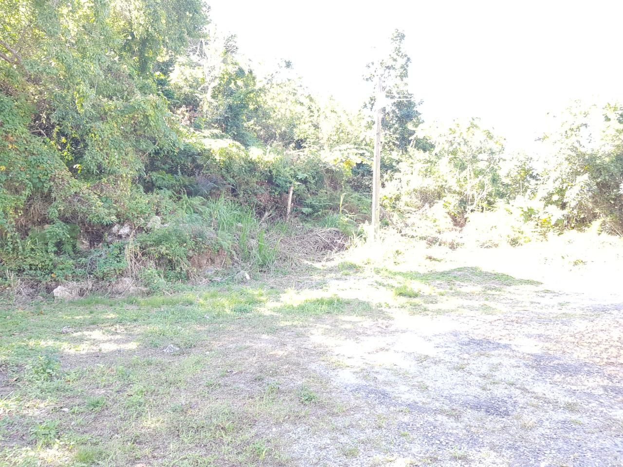 Sixth image of Lot-24 Coopers Hill Way in Coopers Hill, St. Andrew, Jamaica - property is For Sale