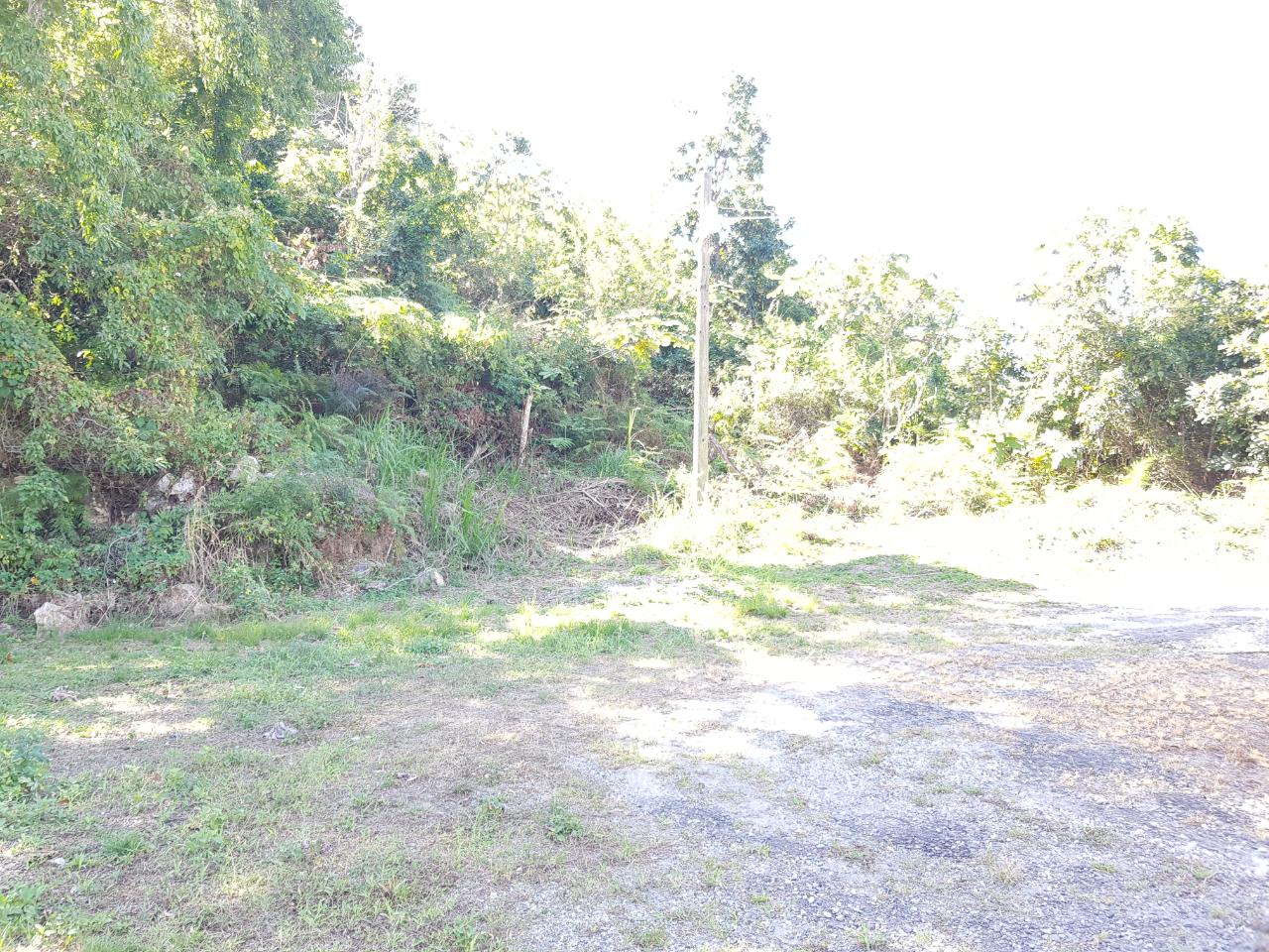 Seventh image of Lot-24 Coopers Hill Way in Coopers Hill, St. Andrew, Jamaica - property is For Sale
