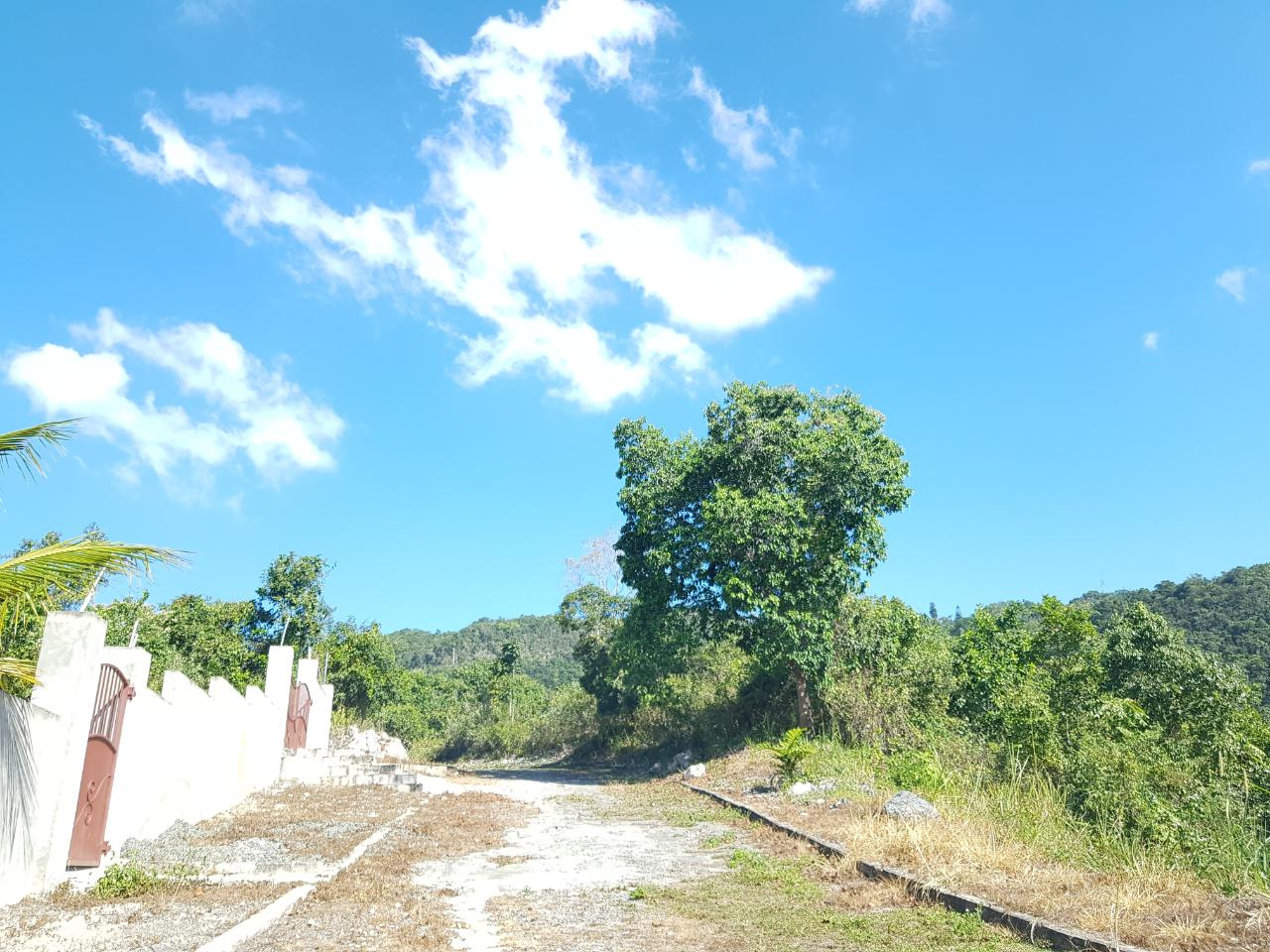 Ninth image of Lot-24 Coopers Hill Way in Coopers Hill, St. Andrew, Jamaica - property is For Sale