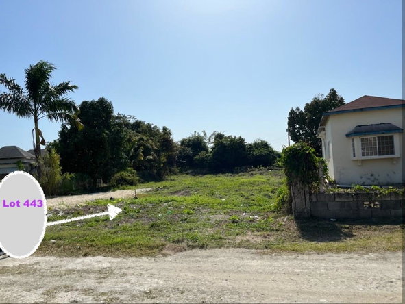 Third image of Llandilo, Sav-la-mar in SAVANNA LA MAR, Westmoreland, Jamaica - property is For Sale