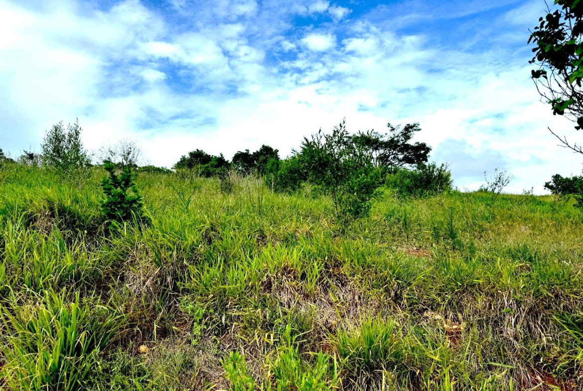 Second image of Malvern Heights, St. Eliz in Malvern, St. Elizabeth, Jamaica - property is For Sale