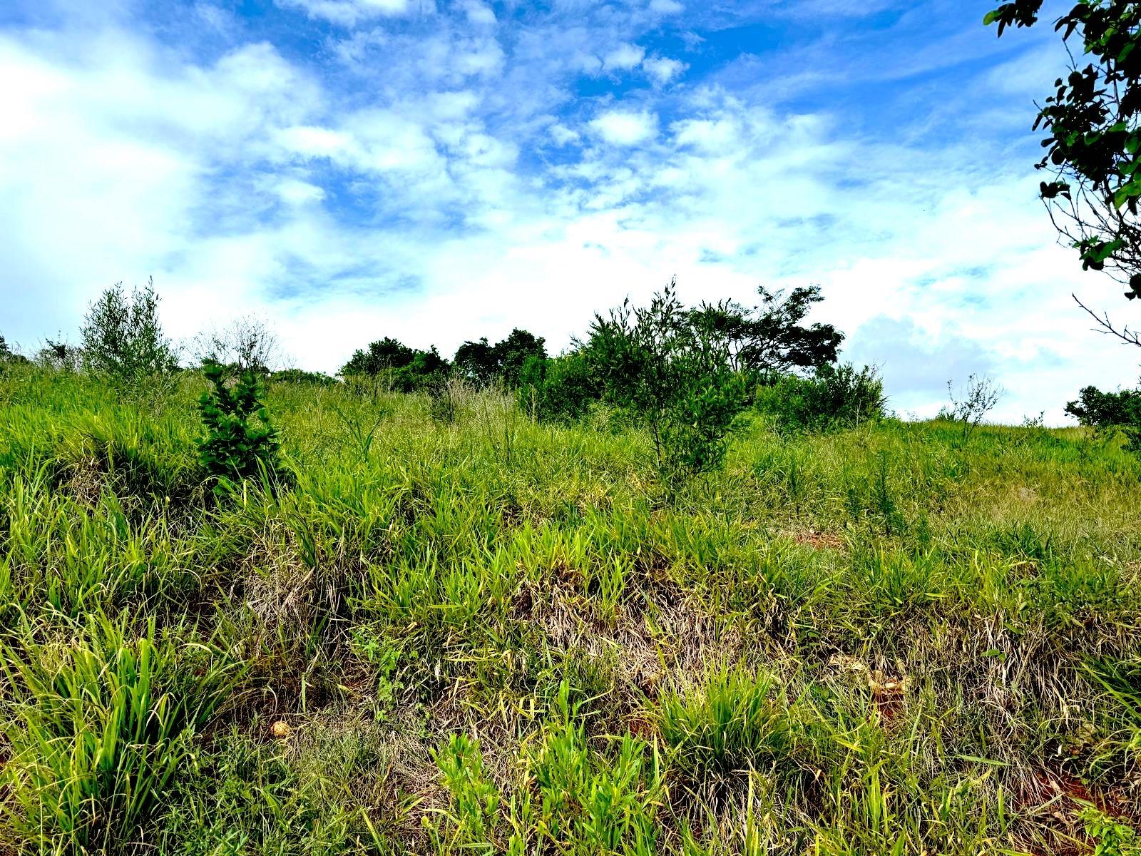 Spacious-Residential-Lot-for-Sale-in-Malvern-Heights-St.-Elizabeth-Jamaica Second image of Malvern Heights, St. Eliz in Malvern, St. Elizabeth, Jamaica - property is For Sale