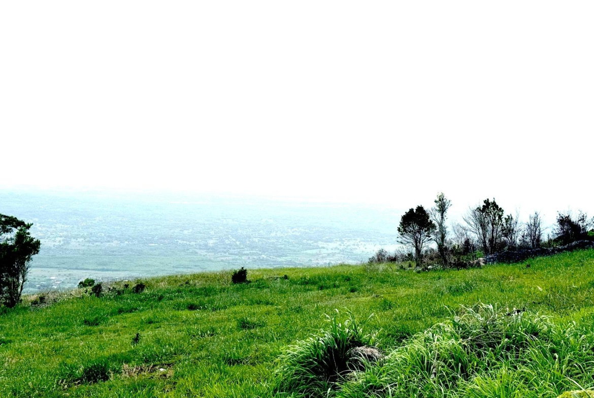 First image of Malvern Heights, St. Eliz in Malvern, St. Elizabeth, Jamaica - property is For Sale