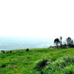 First image of Malvern Heights, St. Eliz in Malvern, St. Elizabeth, Jamaica - property is For Sale