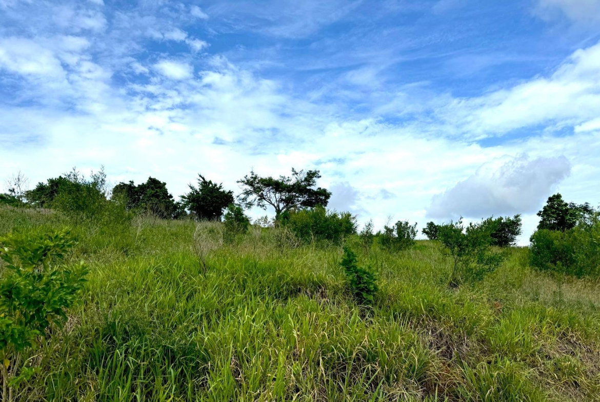 Third image of Malvern Heights, St. Eliz in Malvern, St. Elizabeth, Jamaica - property is For Sale