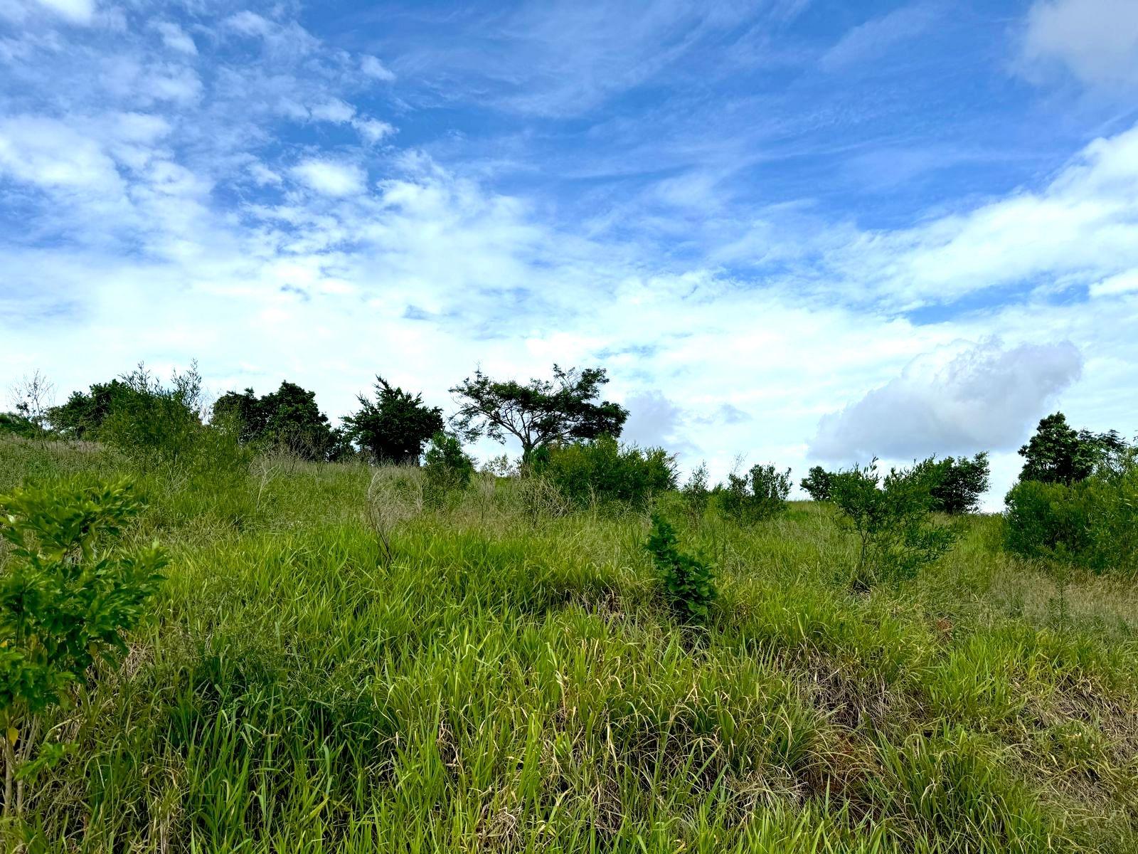 Spacious-Residential-Lot-for-Sale-in-Malvern-Heights-St.-Elizabeth-Jamaica Third image of Malvern Heights, St. Eliz in Malvern, St. Elizabeth, Jamaica - property is For Sale