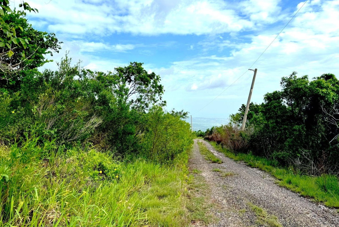Fourth image of Malvern Heights, St. Eliz in Malvern, St. Elizabeth, Jamaica - property is For Sale