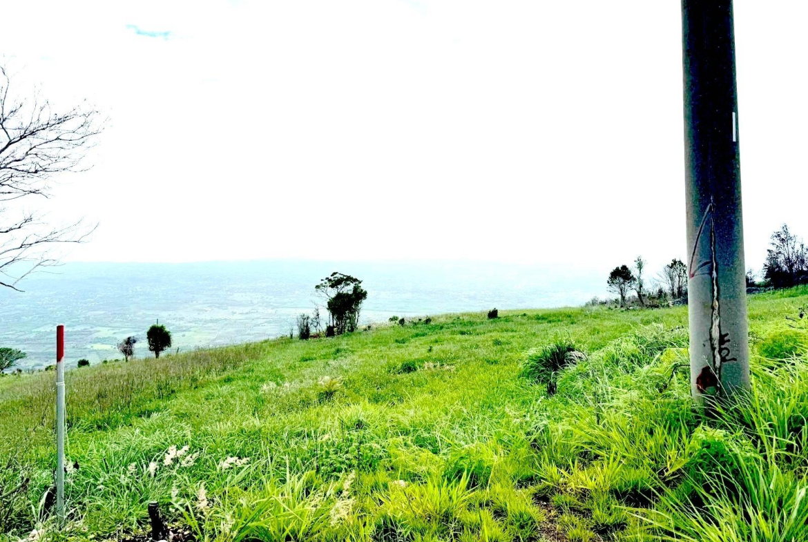Fifth image of Malvern Heights, St. Eliz in Malvern, St. Elizabeth, Jamaica - property is For Sale