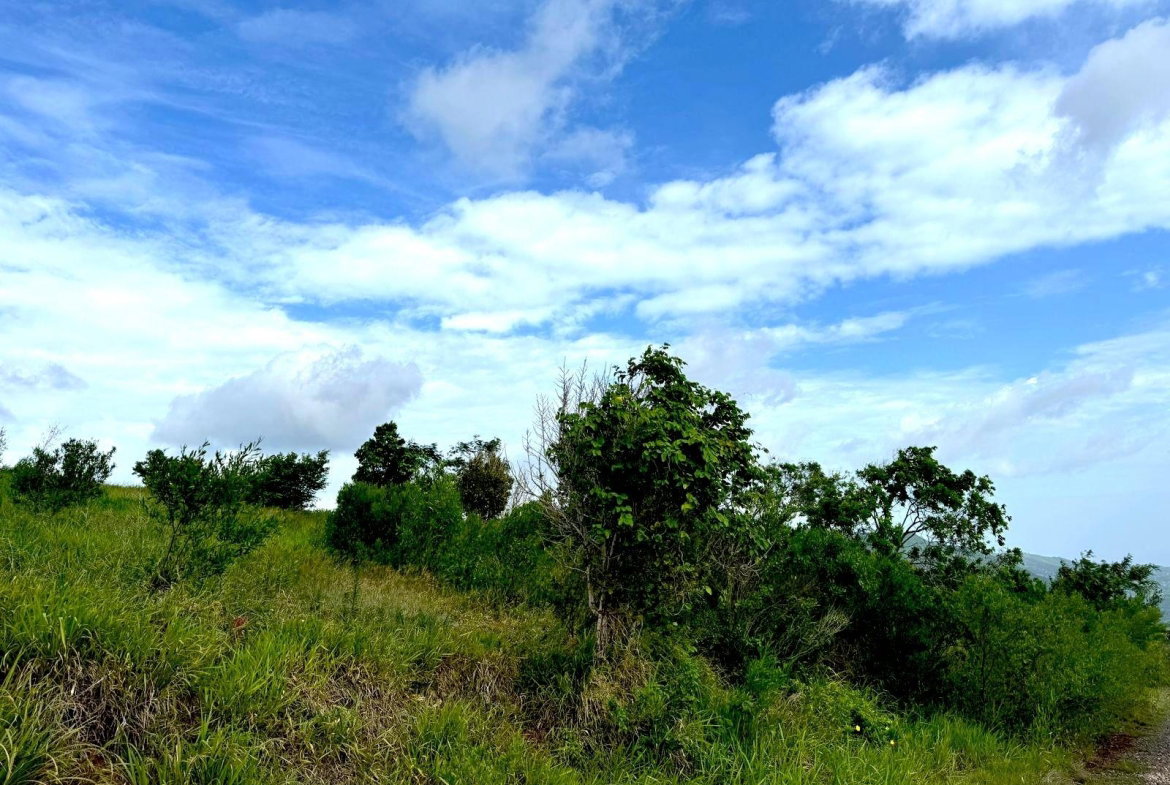 Sixth image of Malvern Heights, St. Eliz in Malvern, St. Elizabeth, Jamaica - property is For Sale