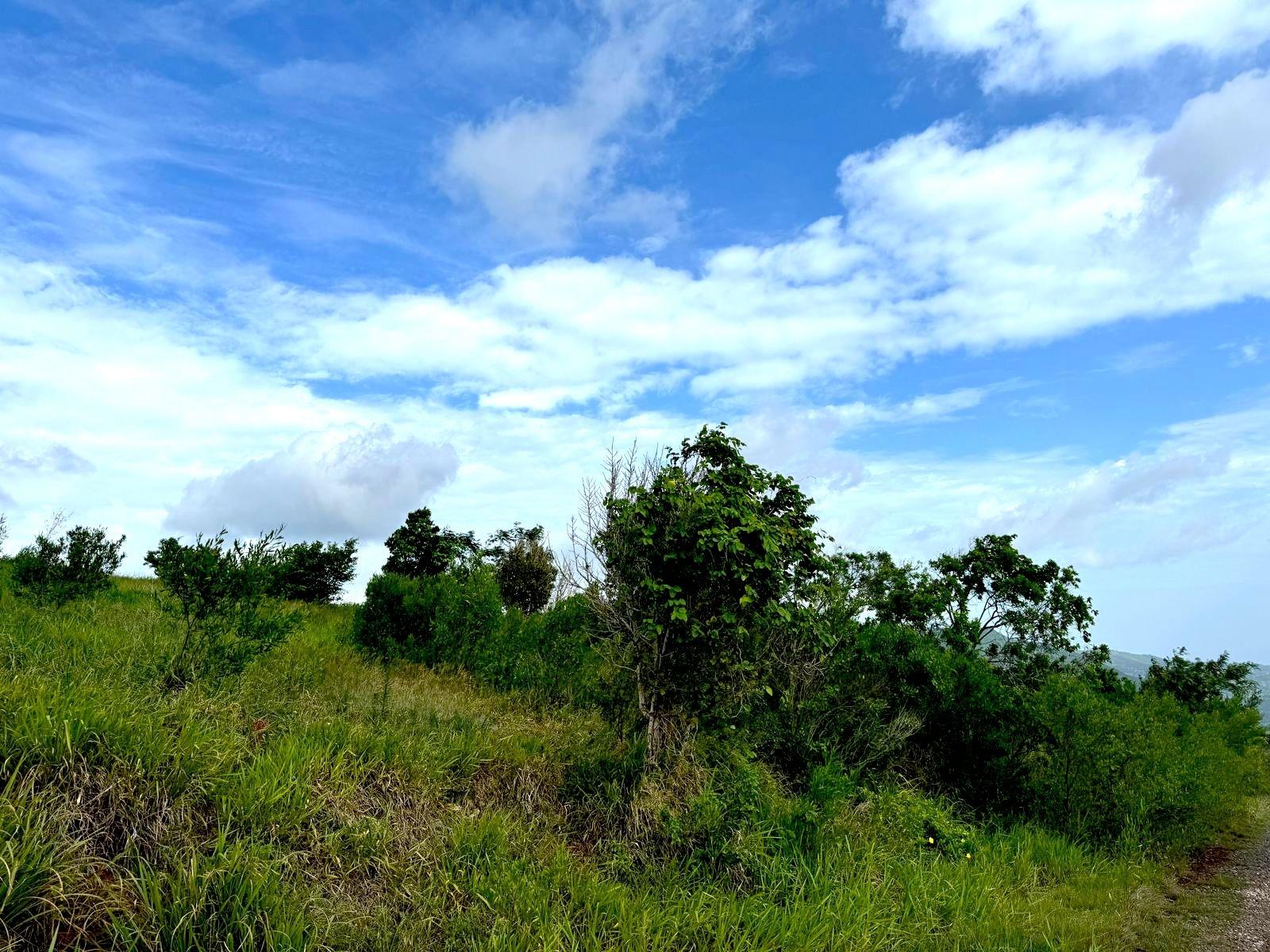 Spacious-Residential-Lot-for-Sale-in-Malvern-Heights-St.-Elizabeth-Jamaica Sixth image of Malvern Heights, St. Eliz in Malvern, St. Elizabeth, Jamaica - property is For Sale