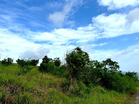 Sixth image of Malvern Heights, St. Eliz in Malvern, St. Elizabeth, Jamaica - property is For Sale