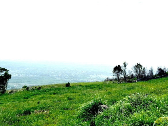 First image of Malvern Heights, St. Eliz in Malvern, St. Elizabeth, Jamaica - property is For Sale