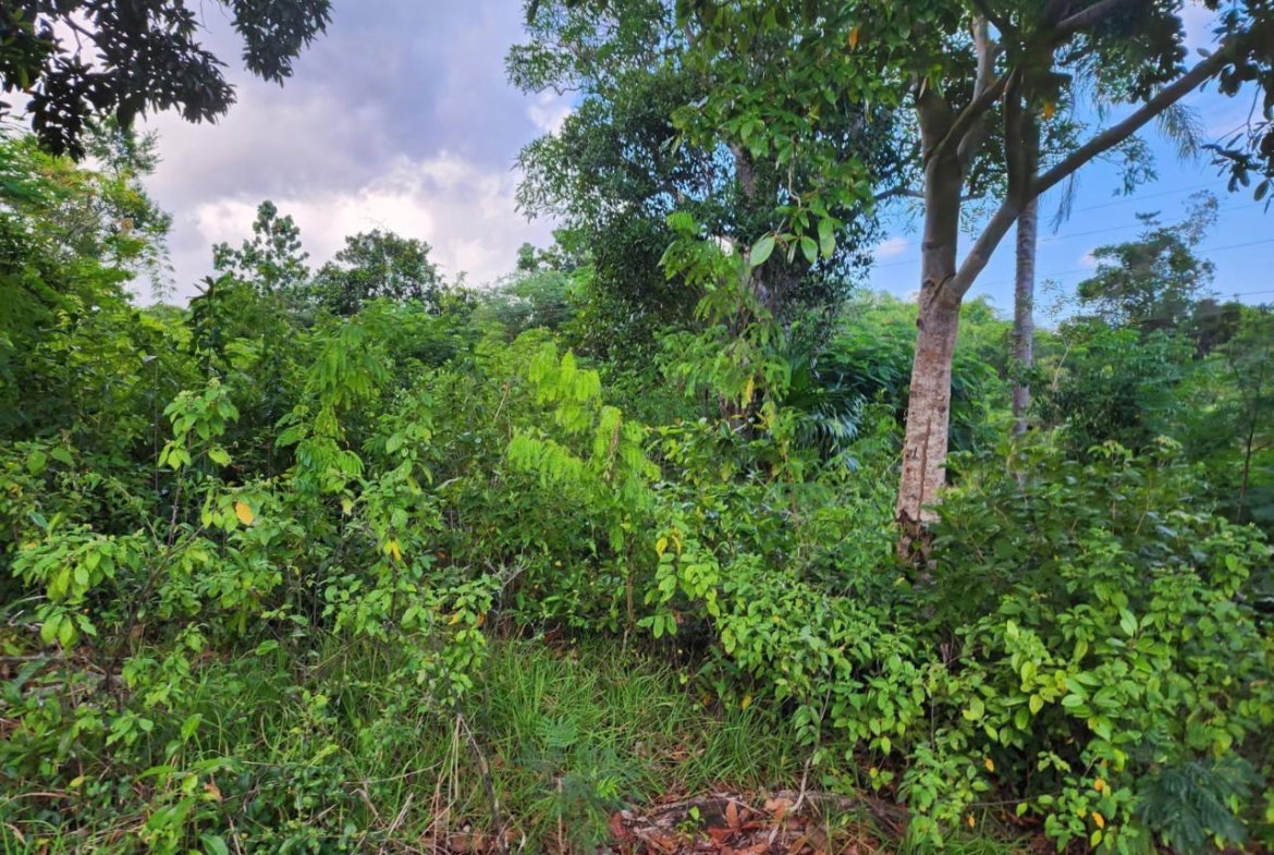 Second image of 5 Pusey Hill in Pusey Hill, Manchester, Jamaica - property is For Sale