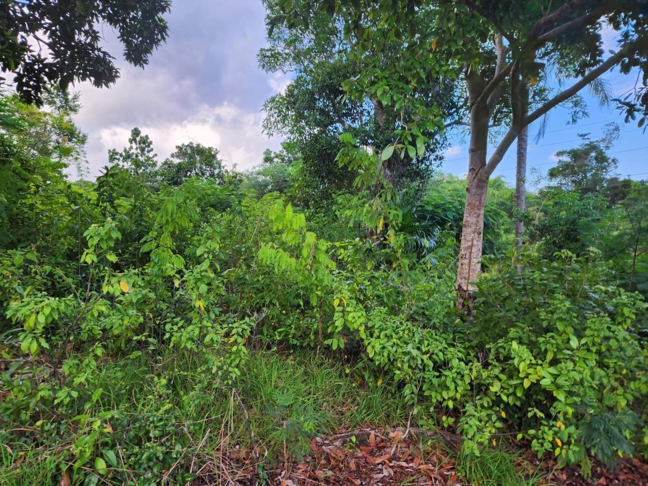 Spacious-Residential-Lot-for-Sale-in-Manchester-Jamaica Second image of 5 Pusey Hill in Pusey Hill, Manchester, Jamaica - property is For Sale