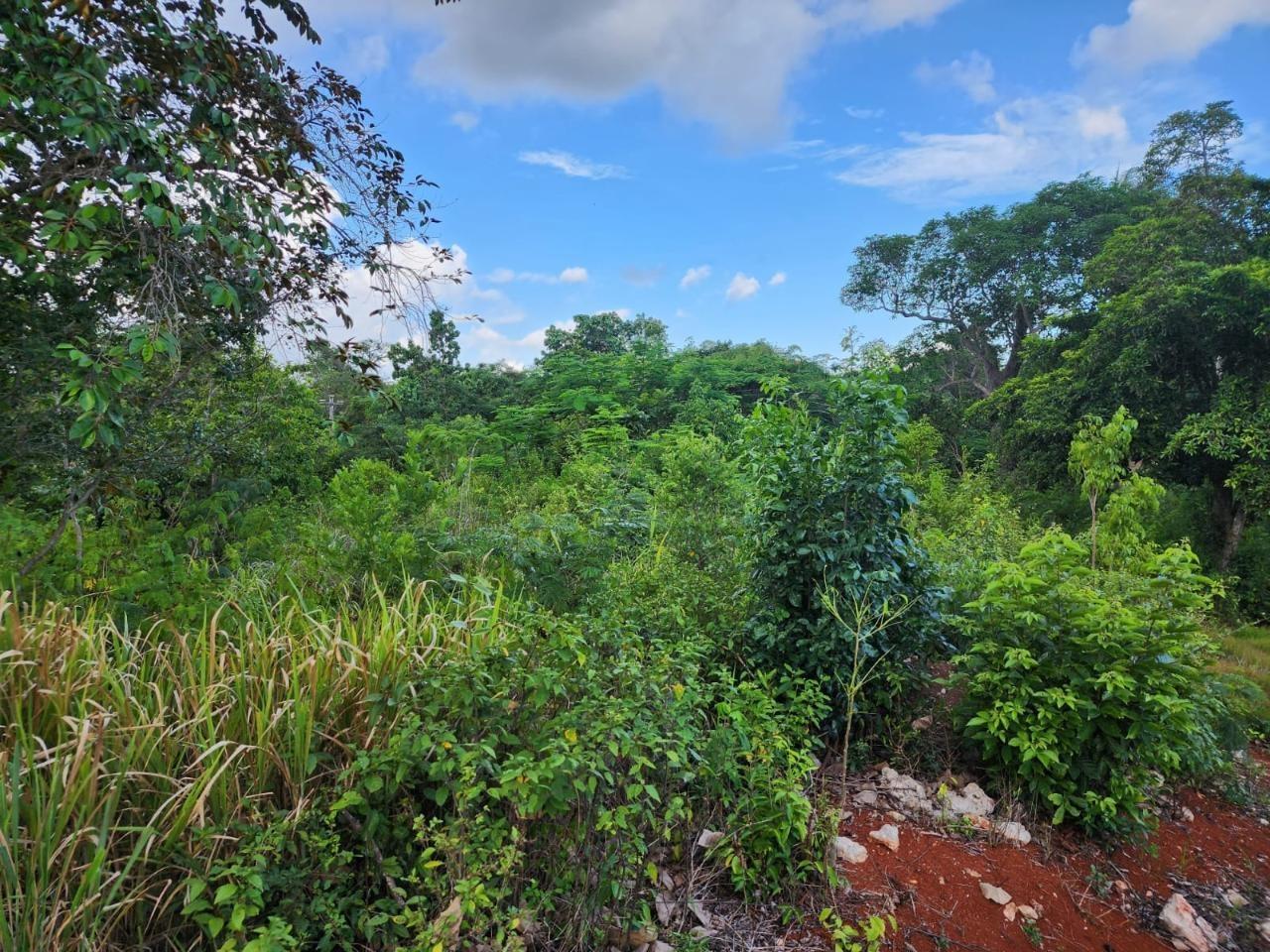 Spacious-Residential-Lot-for-Sale-in-Manchester-Jamaica Third image of 5 Pusey Hill in Pusey Hill, Manchester, Jamaica - property is For Sale