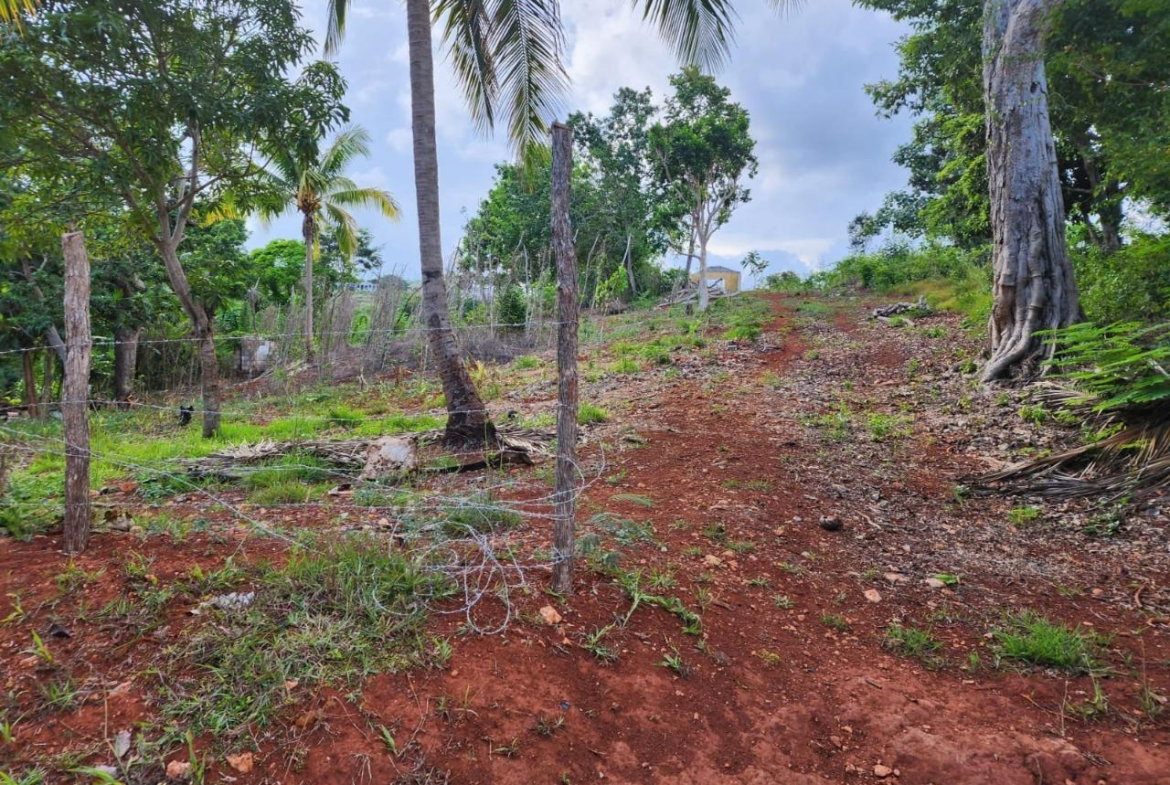 Fourth image of 5 Pusey Hill in Pusey Hill, Manchester, Jamaica - property is For Sale