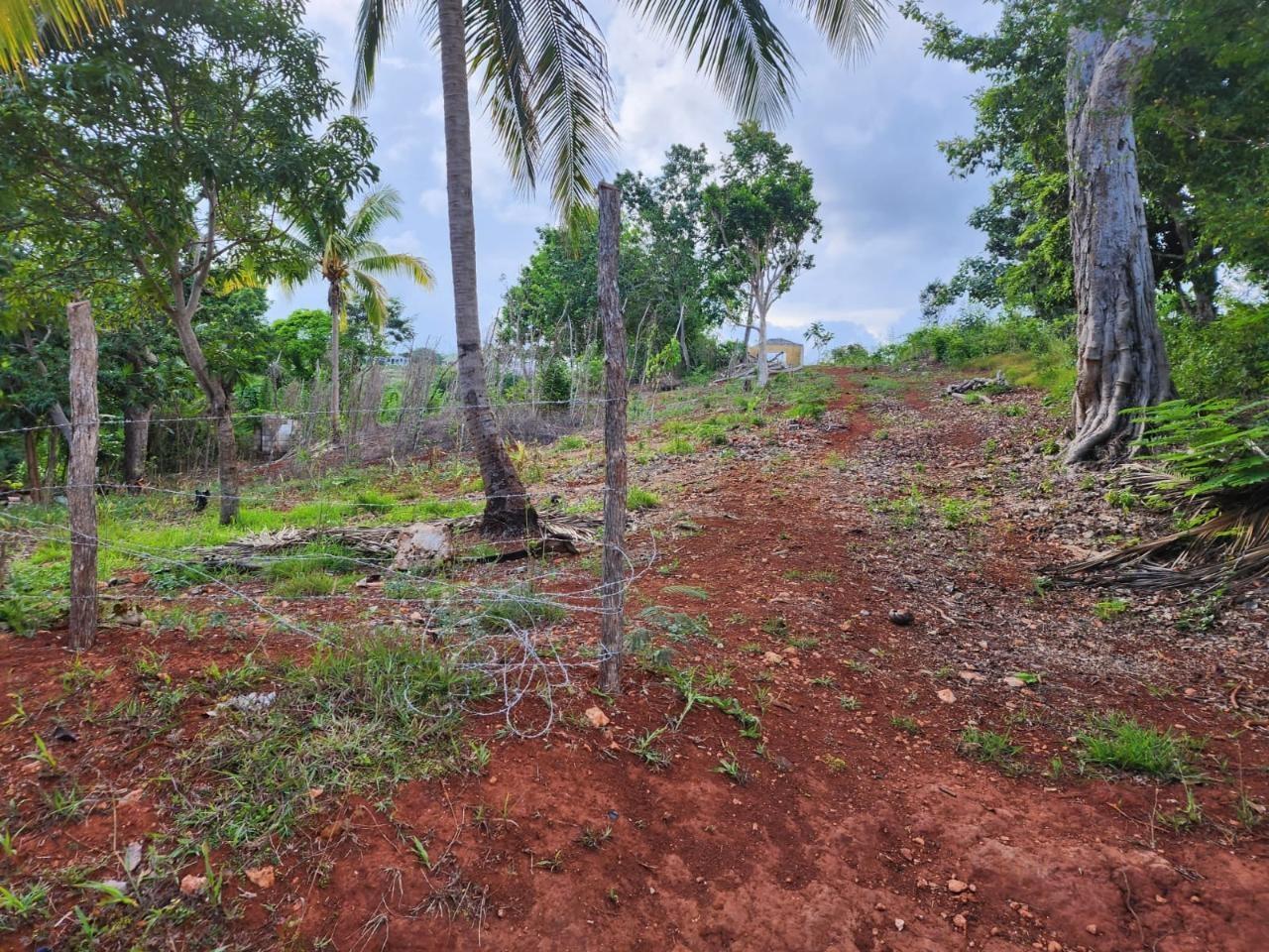 Spacious-Residential-Lot-for-Sale-in-Manchester-Jamaica Fourth image of 5 Pusey Hill in Pusey Hill, Manchester, Jamaica - property is For Sale