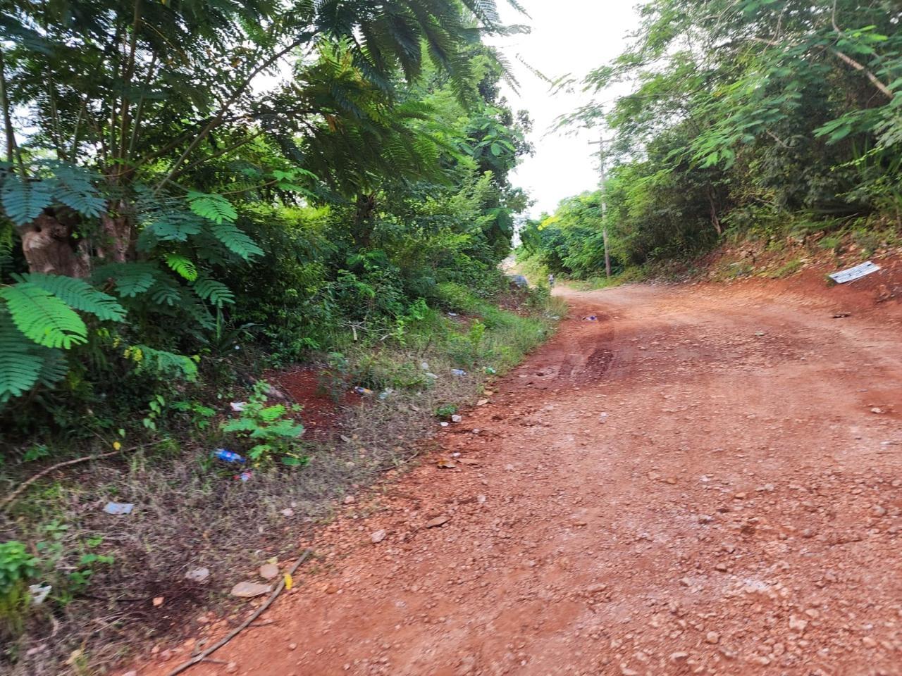 Spacious-Residential-Lot-for-Sale-in-Manchester-Jamaica Fifth image of 5 Pusey Hill in Pusey Hill, Manchester, Jamaica - property is For Sale