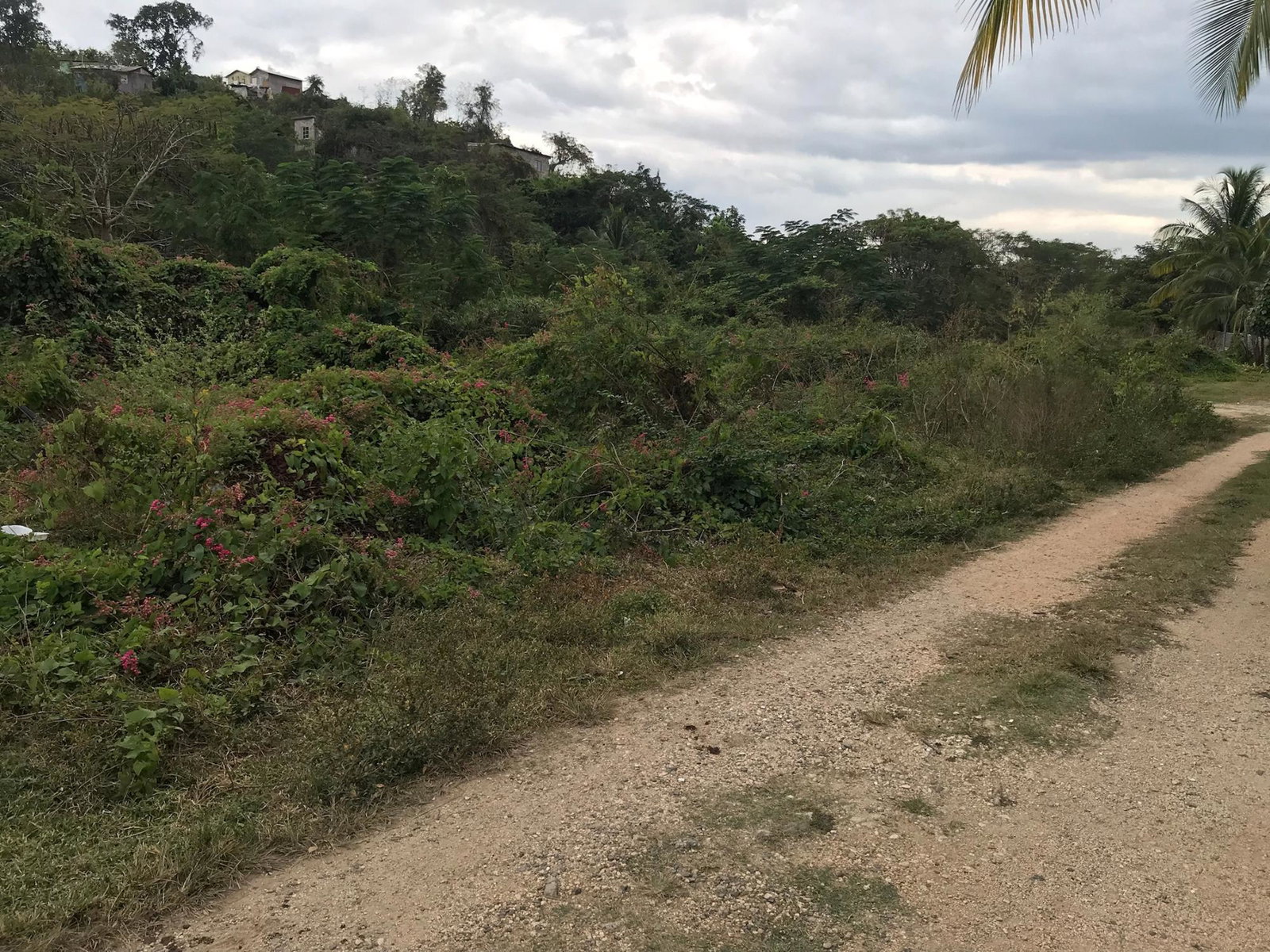 Spacious-Residential-Lot-for-Sale-in-May-Pen-Clarendon Second image of Lot No. 37 Natalie Blvd, May Pen in May Pen, Clarendon, Jamaica - property is For Sale