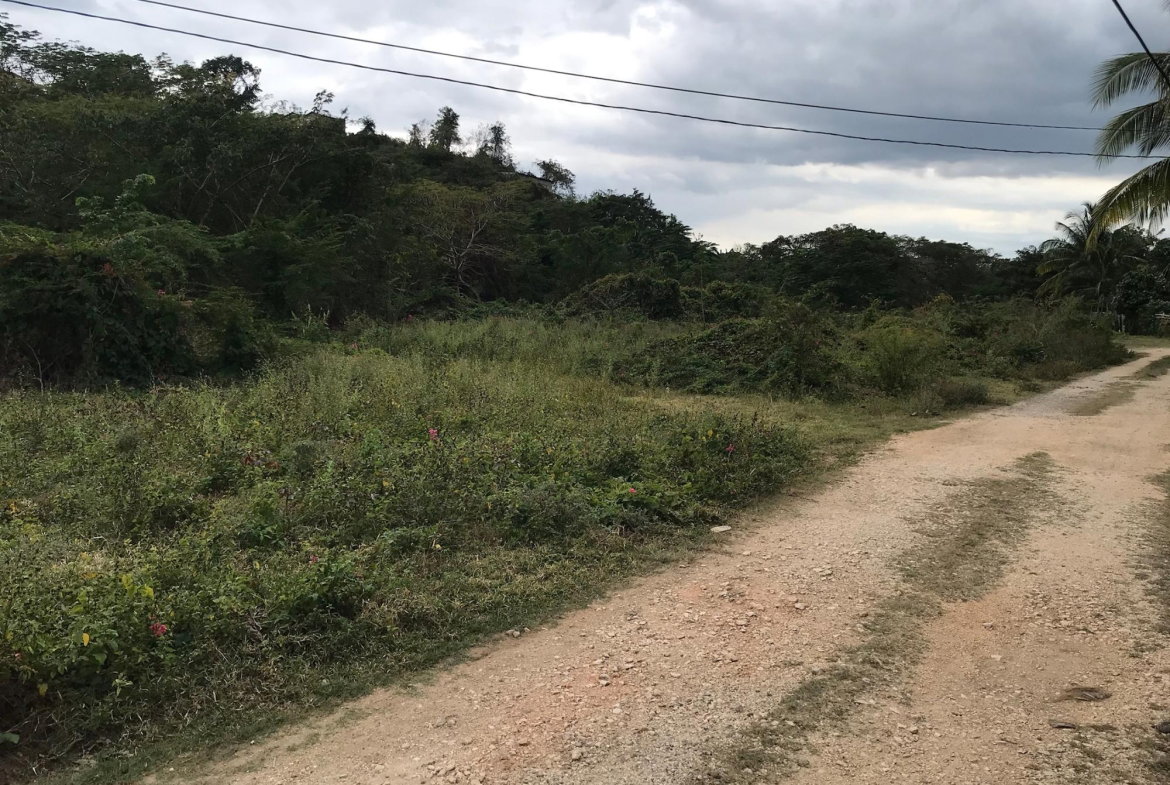 Fourth image of Lot No. 37 Natalie Blvd, May Pen in May Pen, Clarendon, Jamaica - property is For Sale