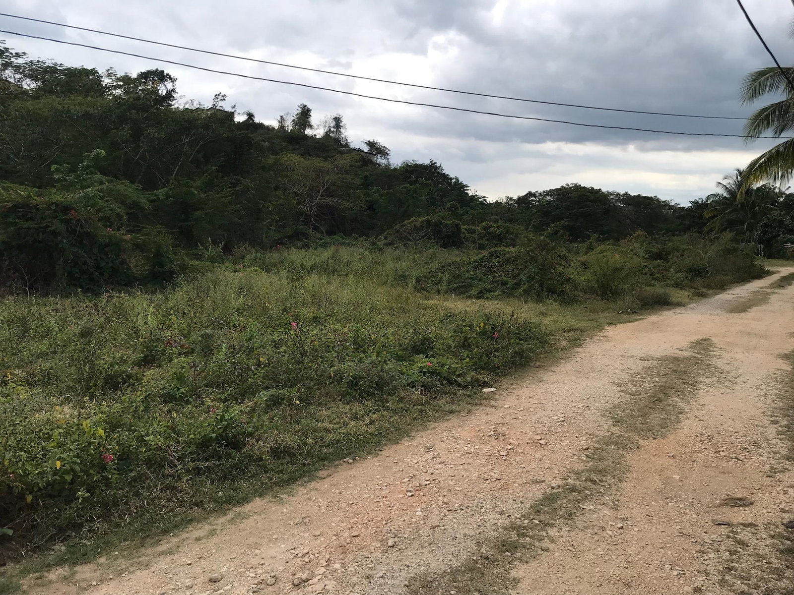 Spacious-Residential-Lot-for-Sale-in-May-Pen-Clarendon Fourth image of Lot No. 37 Natalie Blvd, May Pen in May Pen, Clarendon, Jamaica - property is For Sale