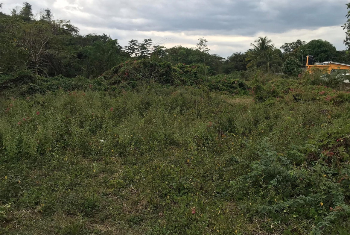 Fifth image of Lot No. 37 Natalie Blvd, May Pen in May Pen, Clarendon, Jamaica - property is For Sale