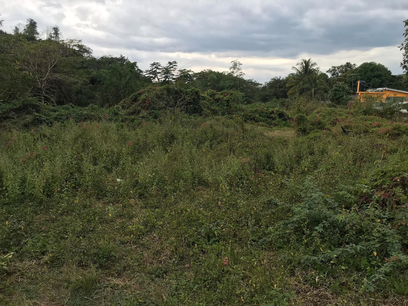 Spacious-Residential-Lot-for-Sale-in-May-Pen-Clarendon Fifth image of Lot No. 37 Natalie Blvd, May Pen in May Pen, Clarendon, Jamaica - property is For Sale