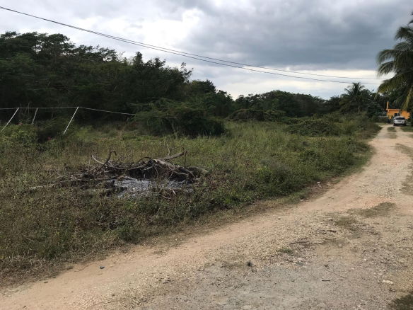 First image of Lot No. 37 Natalie Blvd, May Pen in May Pen, Clarendon, Jamaica - property is For Sale