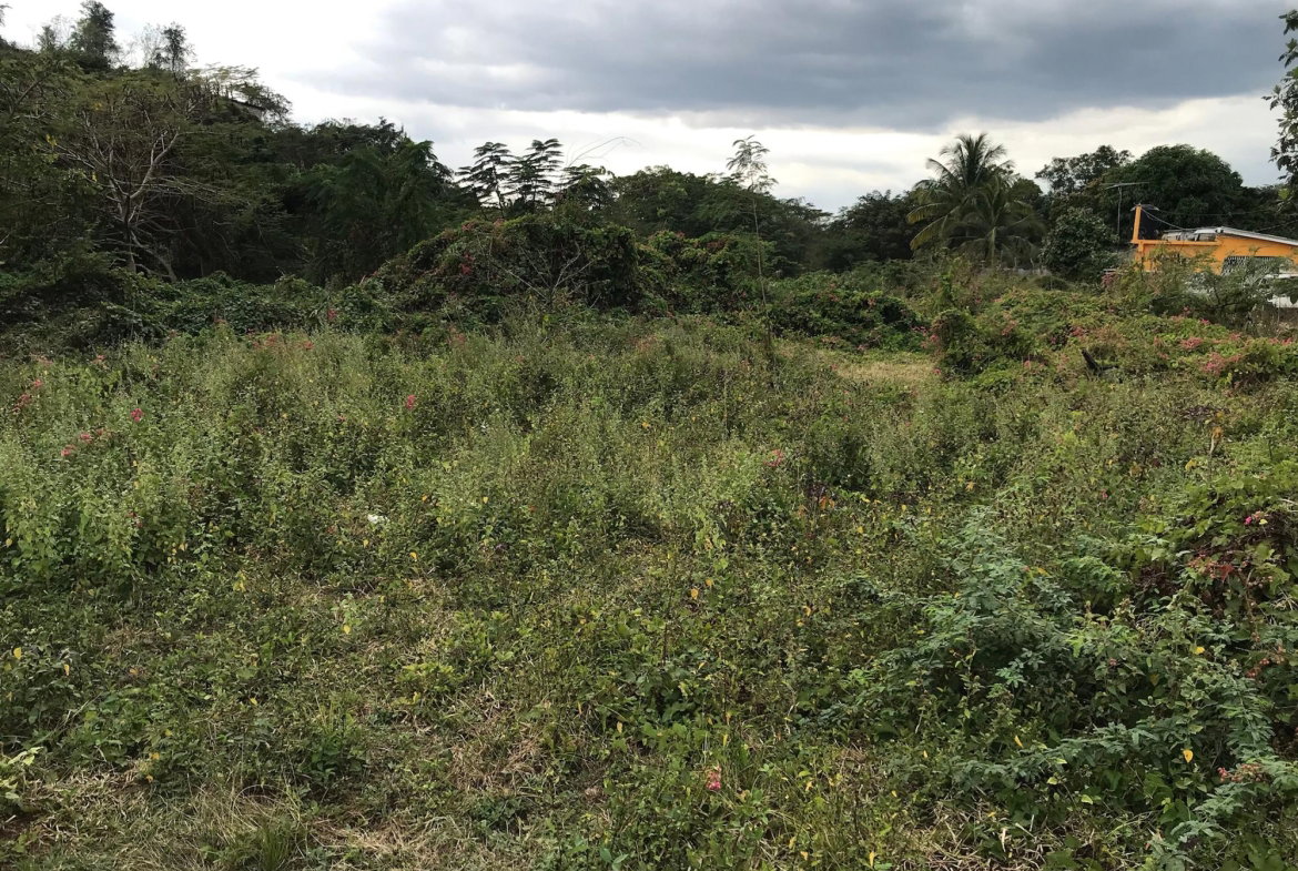 Seventh image of Lot No. 37 Natalie Blvd, May Pen in May Pen, Clarendon, Jamaica - property is For Sale