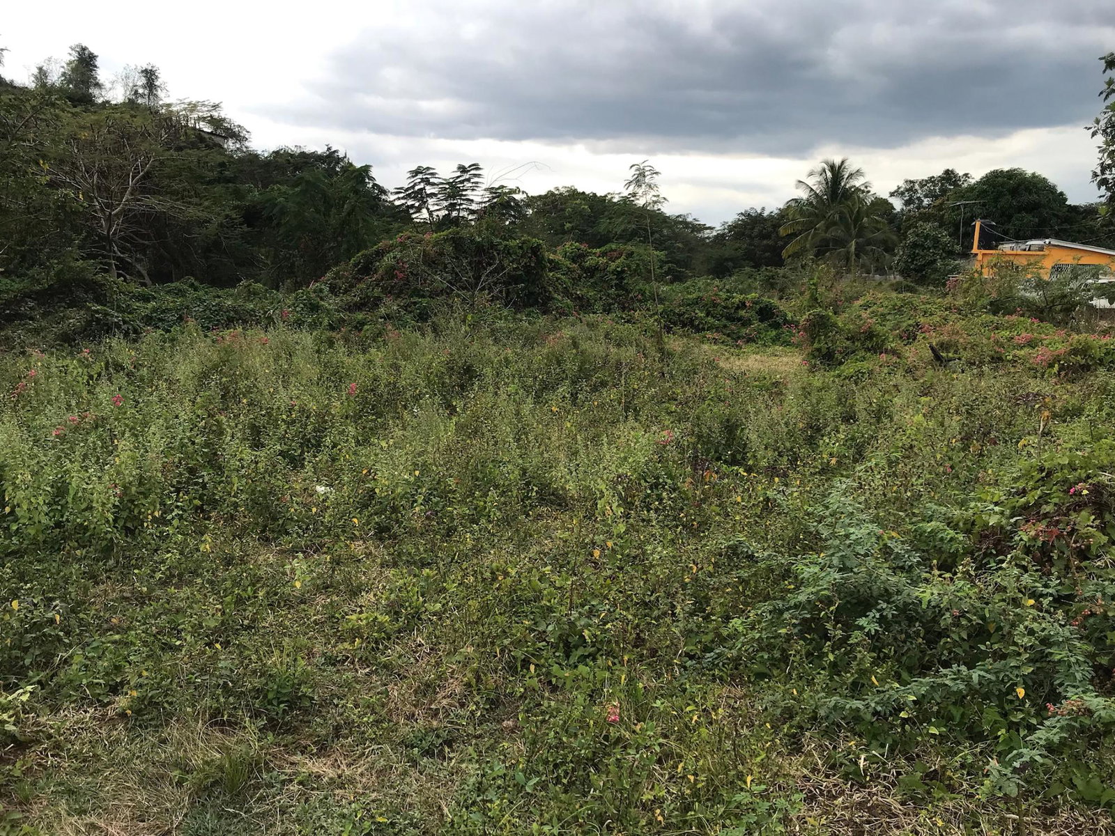 Spacious-Residential-Lot-for-Sale-in-May-Pen-Clarendon Seventh image of Lot No. 37 Natalie Blvd, May Pen in May Pen, Clarendon, Jamaica - property is For Sale