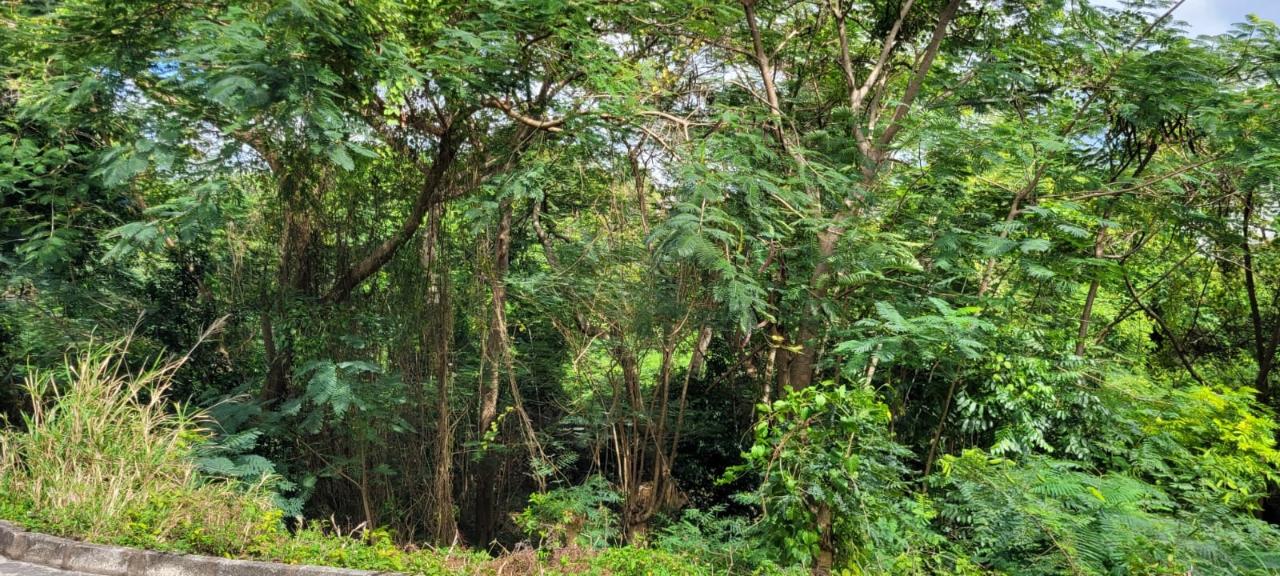 Eighteenth image of New Green, Mandeville in Mandeville, Manchester, Jamaica - property is For Sale