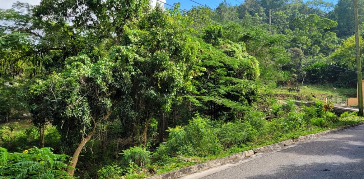 Nineteenth image of New Green, Mandeville in Mandeville, Manchester, Jamaica - property is For Sale