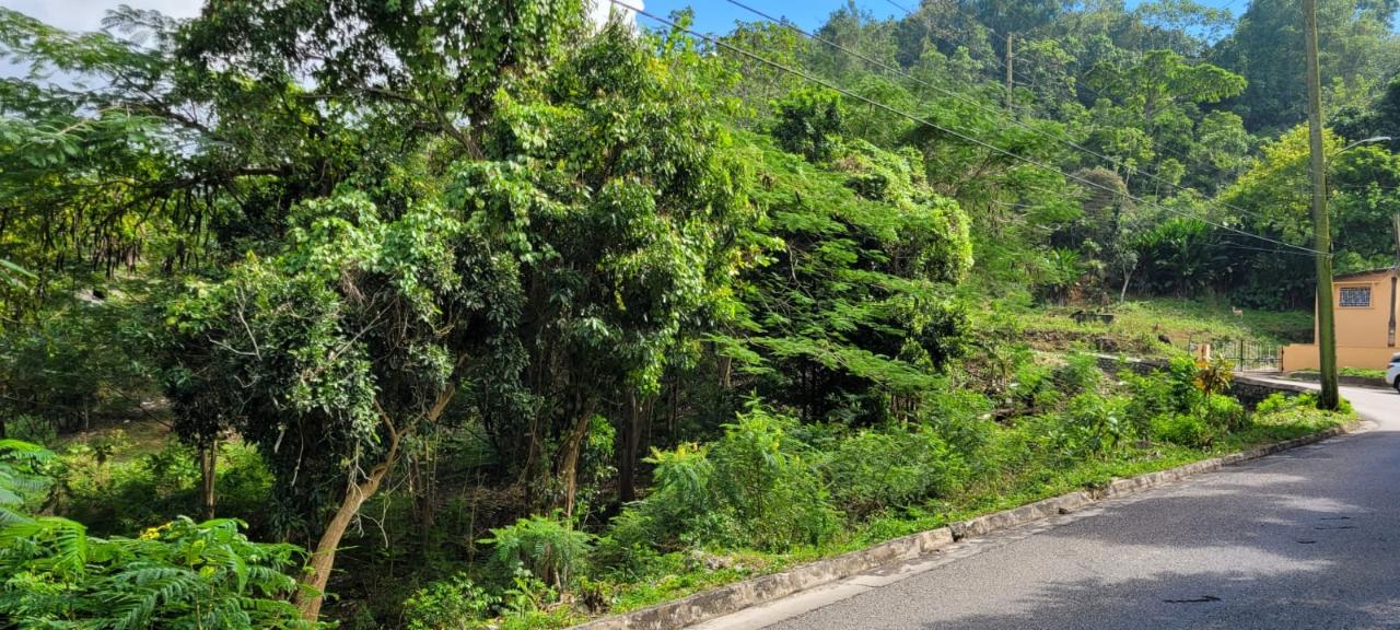 Nineteenth image of New Green, Mandeville in Mandeville, Manchester, Jamaica - property is For Sale