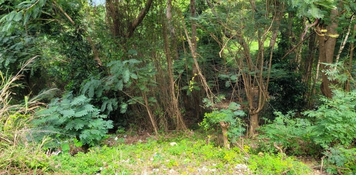 Twentieth image of New Green, Mandeville in Mandeville, Manchester, Jamaica - property is For Sale