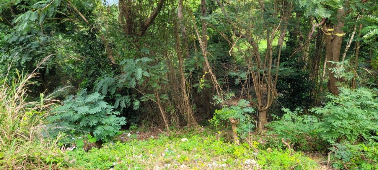 Twentieth image of New Green, Mandeville in Mandeville, Manchester, Jamaica - property is For Sale