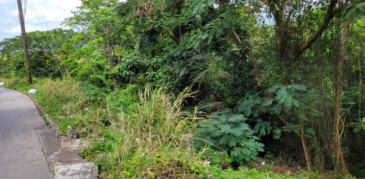 Twenty-First image of New Green, Mandeville in Mandeville, Manchester, Jamaica - property is For Sale