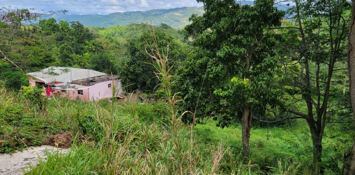 Twenty-Seventh image of New Green, Mandeville in Mandeville, Manchester, Jamaica - property is For Sale