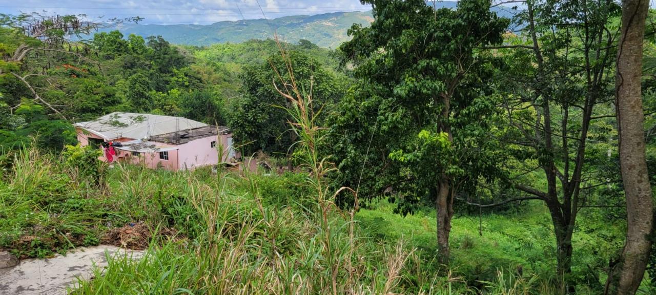 Twenty-Seventh image of New Green, Mandeville in Mandeville, Manchester, Jamaica - property is For Sale