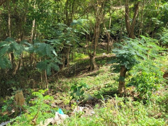 First image of New Green, Mandeville in Mandeville, Manchester, Jamaica - property is For Sale